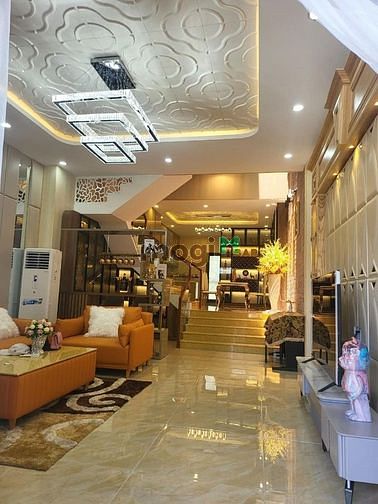 4247365 ảnh đại diện 2