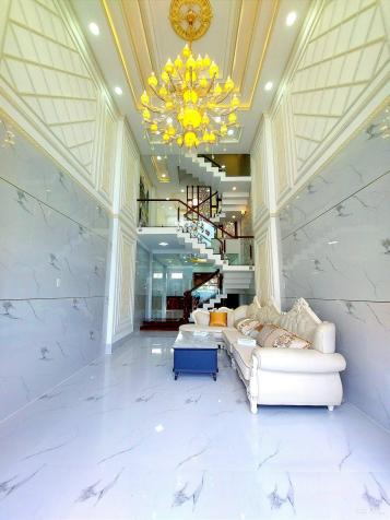 4248732 ảnh đại diện 1