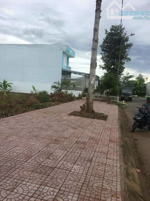 4248866 ảnh đại diện 1