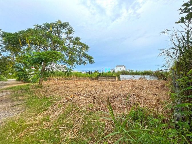 4248130 ảnh đại diện 1