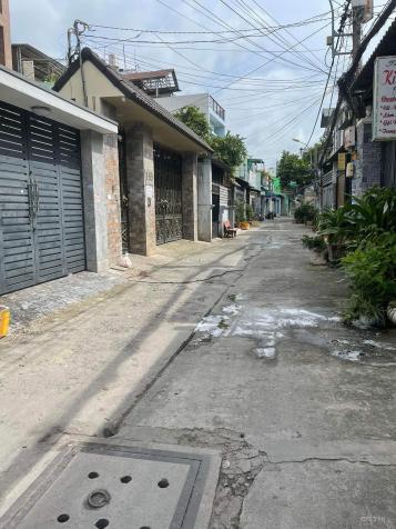 4249028 ảnh đại diện 1