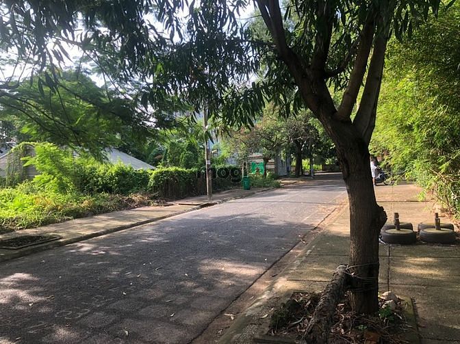 4248556 ảnh đại diện 1