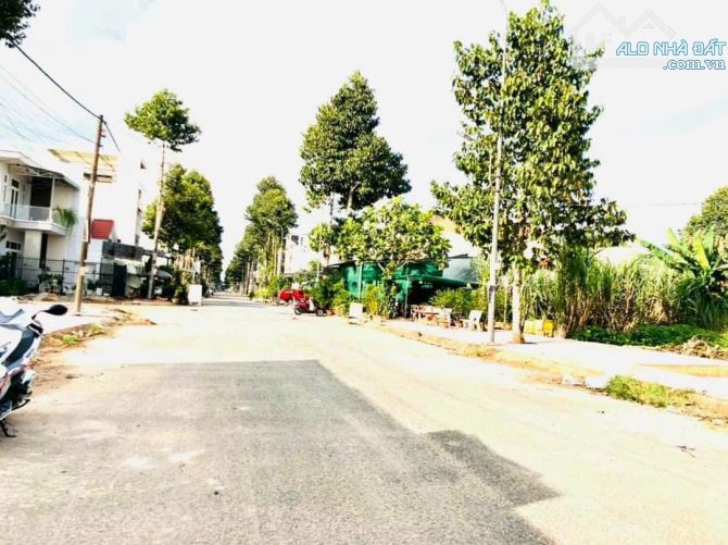 4248866 ảnh đại diện 2