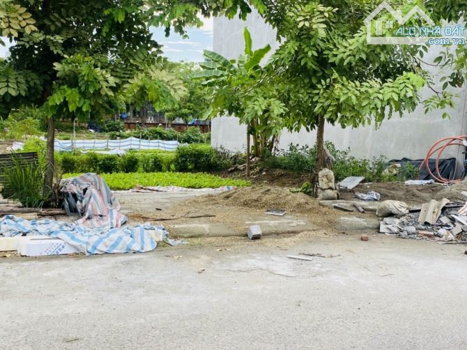 4246851 ảnh đại diện 2