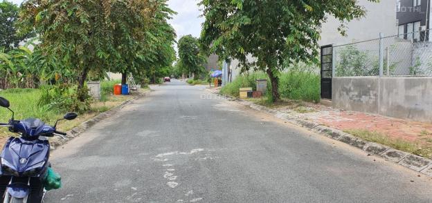 4249155 ảnh đại diện 1