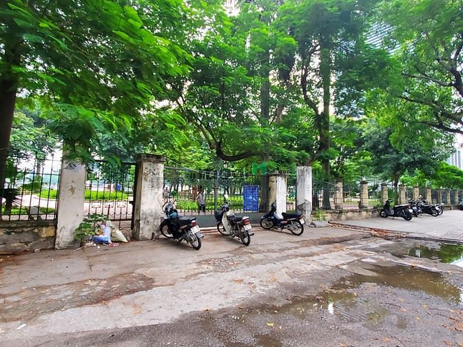4248811 ảnh đại diện 1