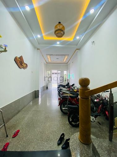 4248058 ảnh đại diện 2