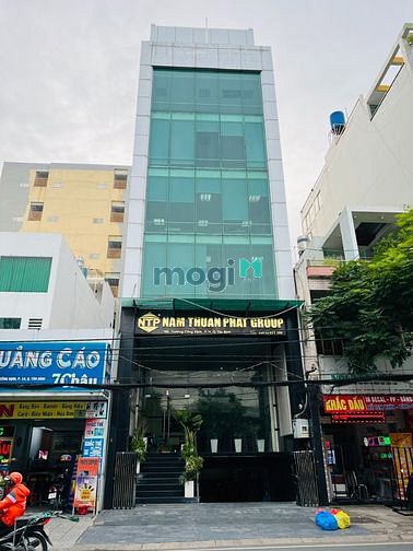 4250916 ảnh đại diện 1