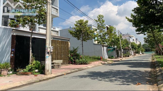 4250344 ảnh đại diện 1