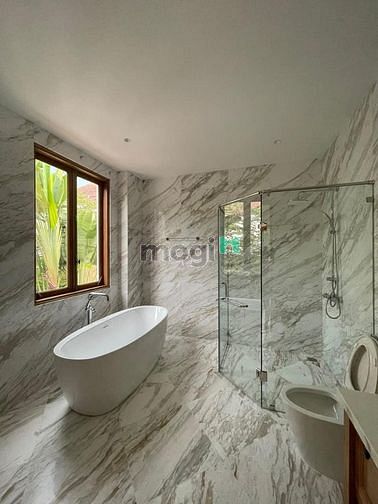 4250879 ảnh đại diện 1