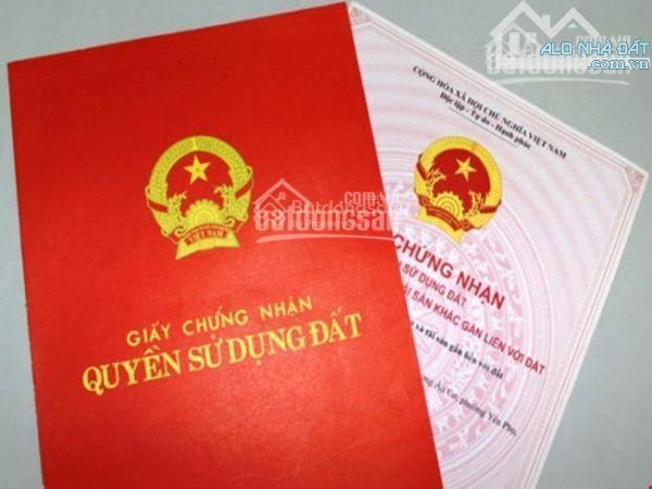 4250363 ảnh đại diện 1