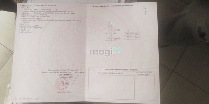 4251261 ảnh đại diện 1