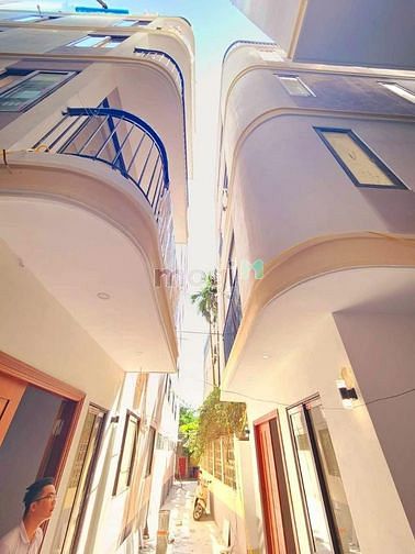 4250877 ảnh đại diện 1