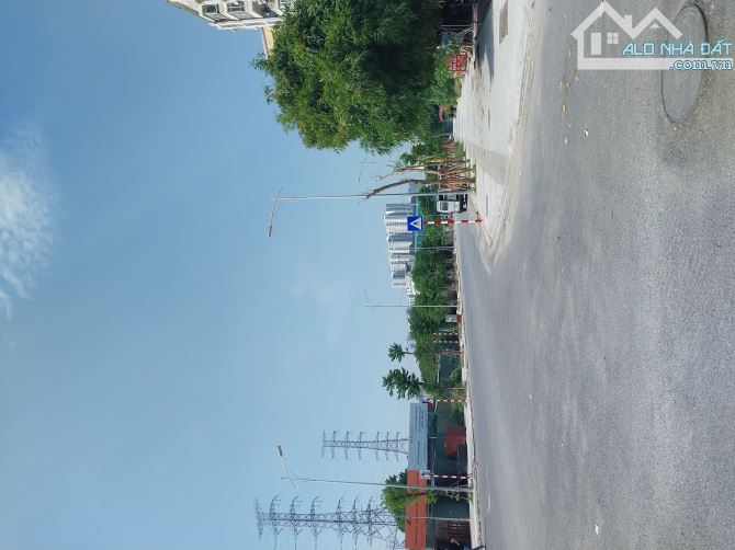 4251444 ảnh đại diện 2