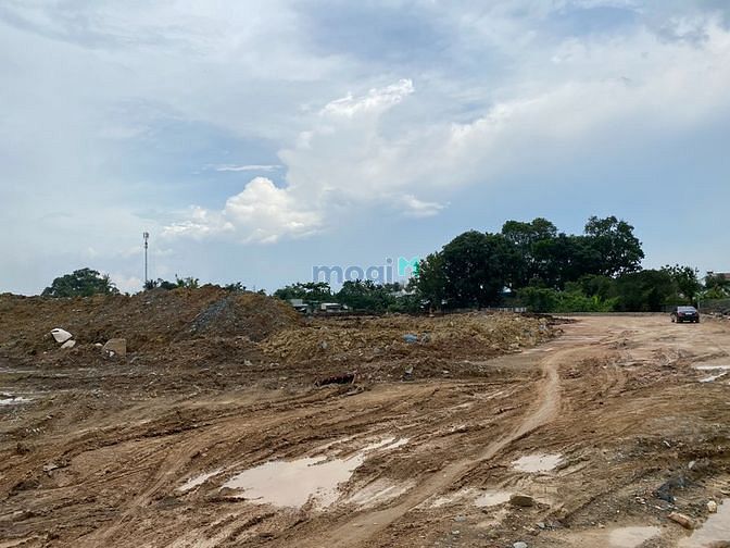 4250449 ảnh đại diện 1