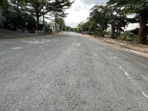 4251395 ảnh đại diện 1