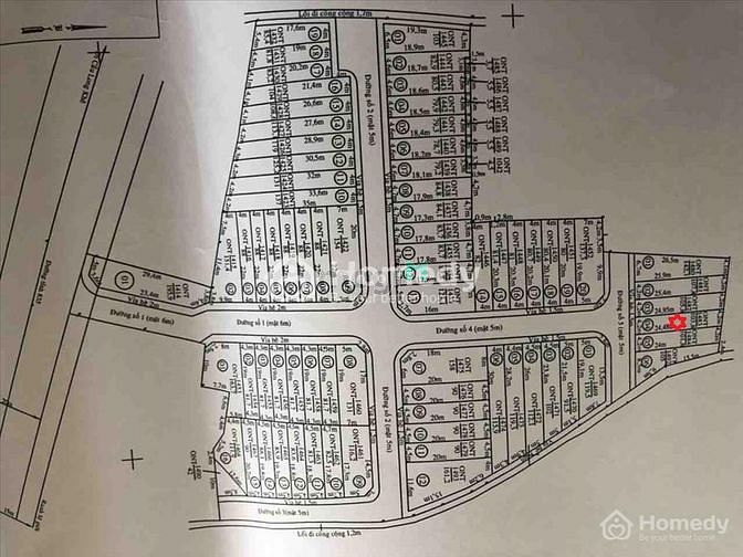 4251261 ảnh đại diện 1