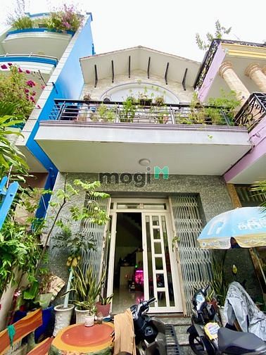 4252199 ảnh đại diện 2