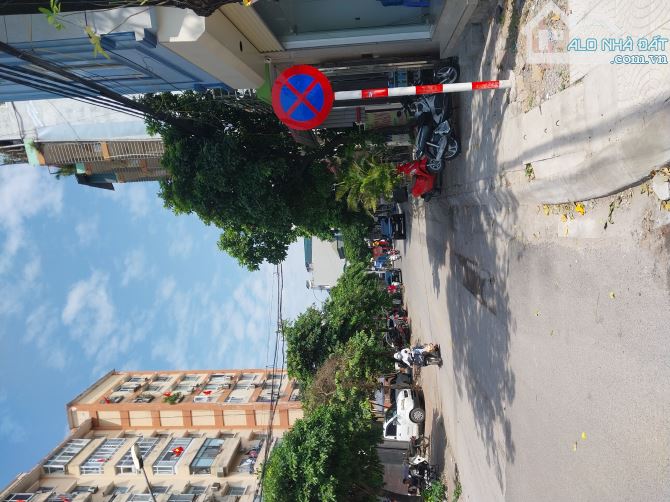 4251444 ảnh đại diện 1