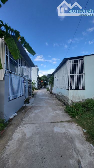 4250583 ảnh đại diện 1