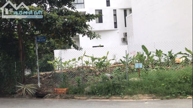 4250344 ảnh đại diện 2