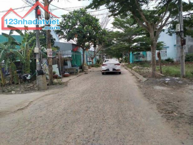 4250005 ảnh đại diện 1
