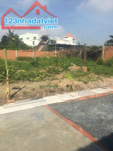 4250001 ảnh đại diện 1