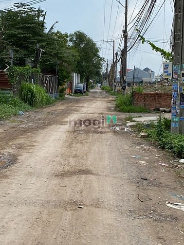 4250449 ảnh đại diện 2