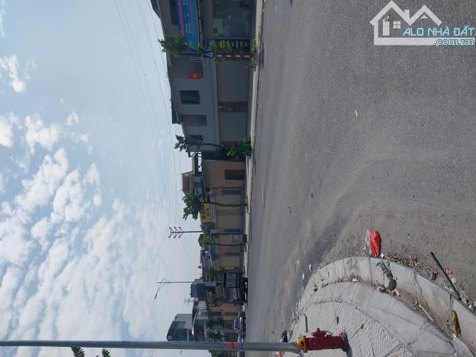 4251444 ảnh đại diện 1