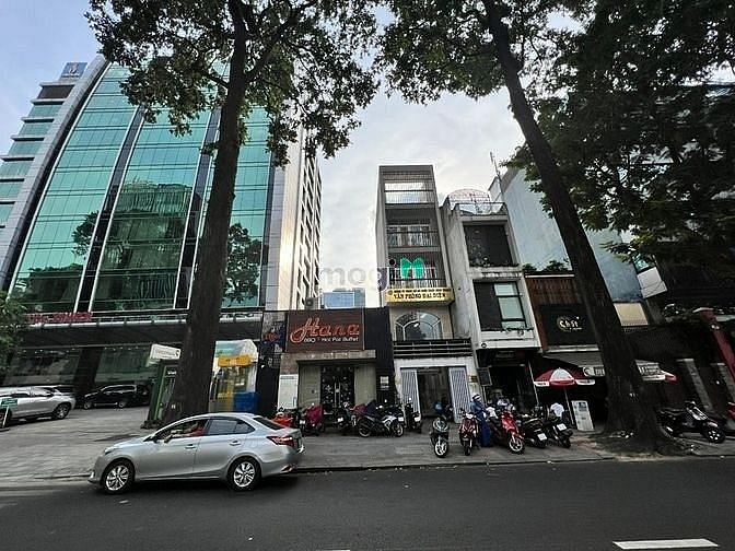 4251954 ảnh đại diện 1