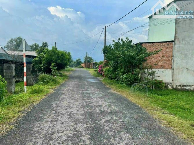 4250545 ảnh đại diện 1