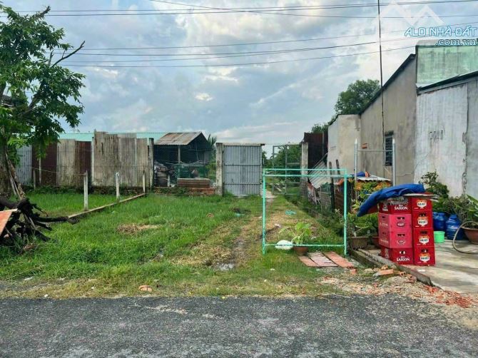 4250545 ảnh đại diện 1