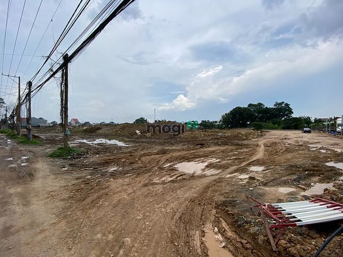 4250449 ảnh đại diện 1