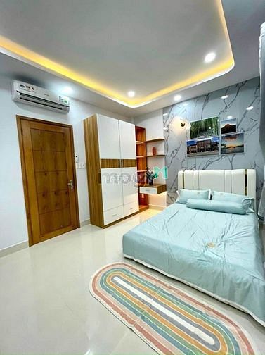 4252197 ảnh đại diện 2
