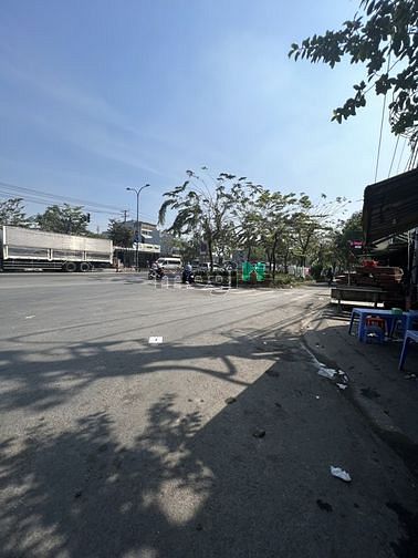 4251138 ảnh đại diện 1
