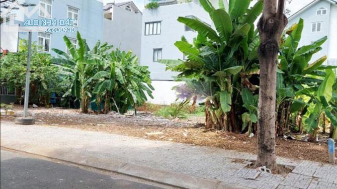 4250344 ảnh đại diện 1