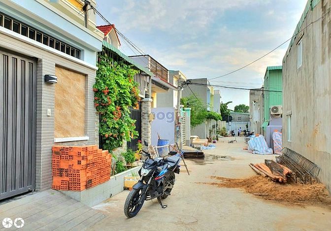 4252292 ảnh đại diện 1
