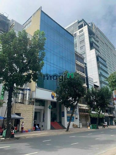 4251958 ảnh đại diện 1
