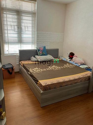 4252480 ảnh đại diện 2
