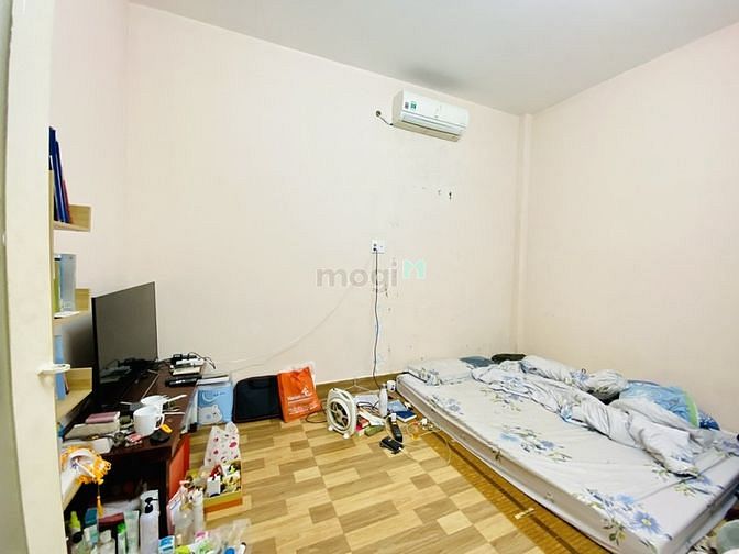 4252196 ảnh đại diện 1