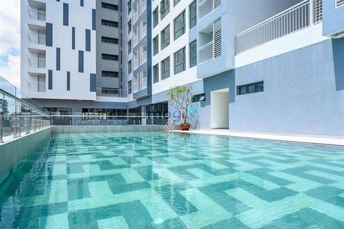 4250368 ảnh đại diện 1