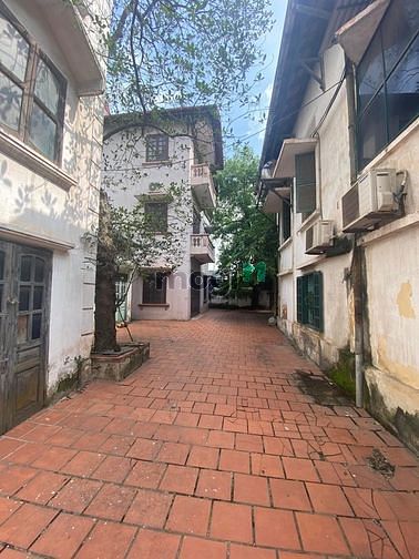 4251361 ảnh đại diện 1