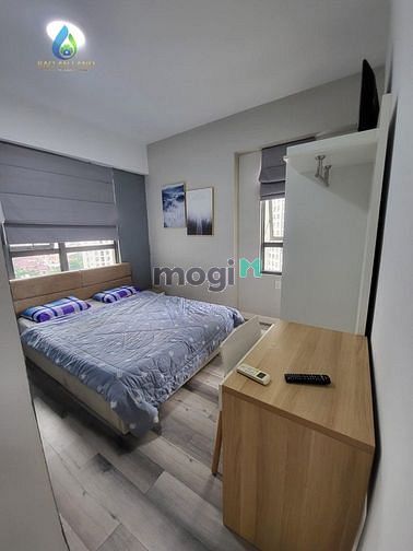4250419 ảnh đại diện 2