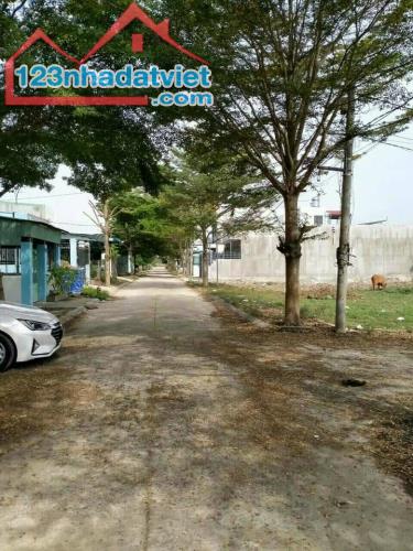 4250005 ảnh đại diện 1