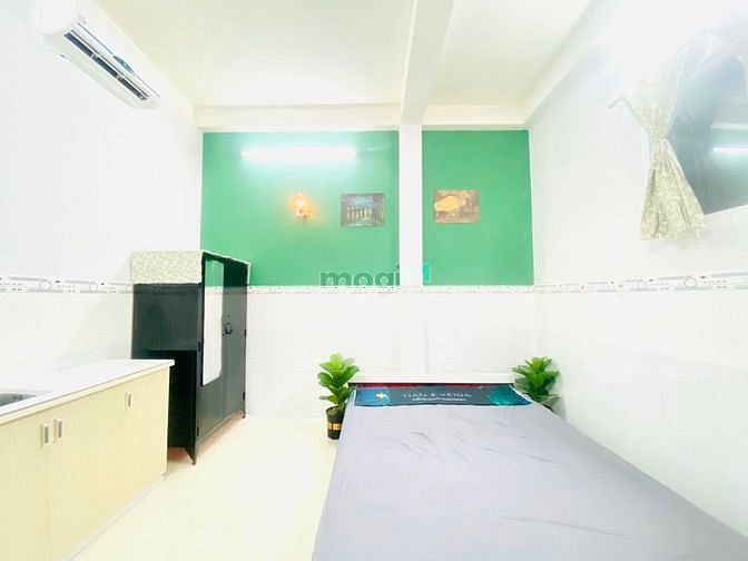4250866 ảnh đại diện 1