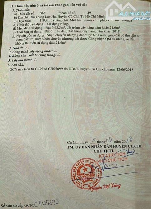 4250545 ảnh đại diện 2