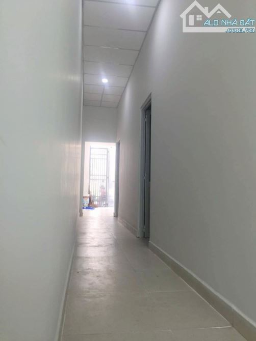 4251345 ảnh đại diện 2