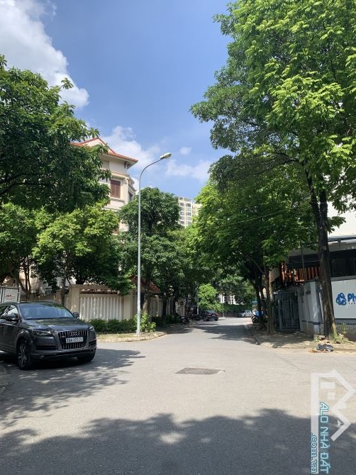 4250392 ảnh đại diện 2