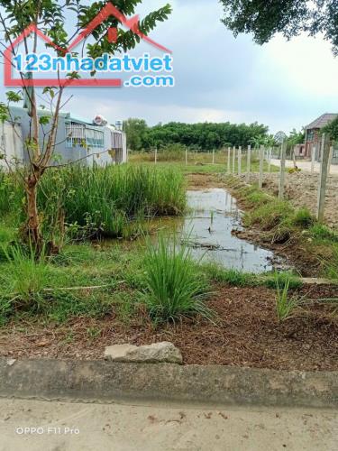 4250005 ảnh đại diện 2