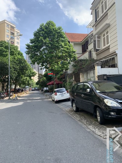 4250392 ảnh đại diện 1